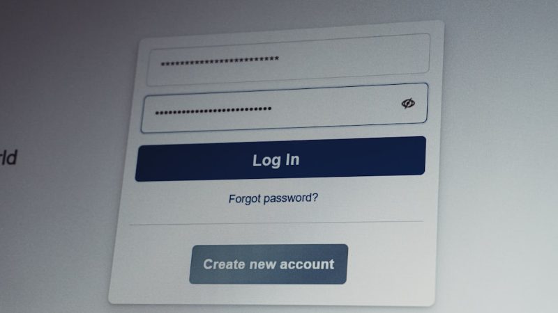 Domain name access