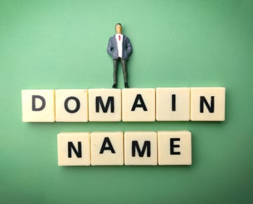 How to check if you own your domain name