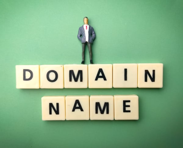 How to check if you own your domain name